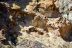 2016-04-09, 012, Canyon Lake on the Dolly Steamboat