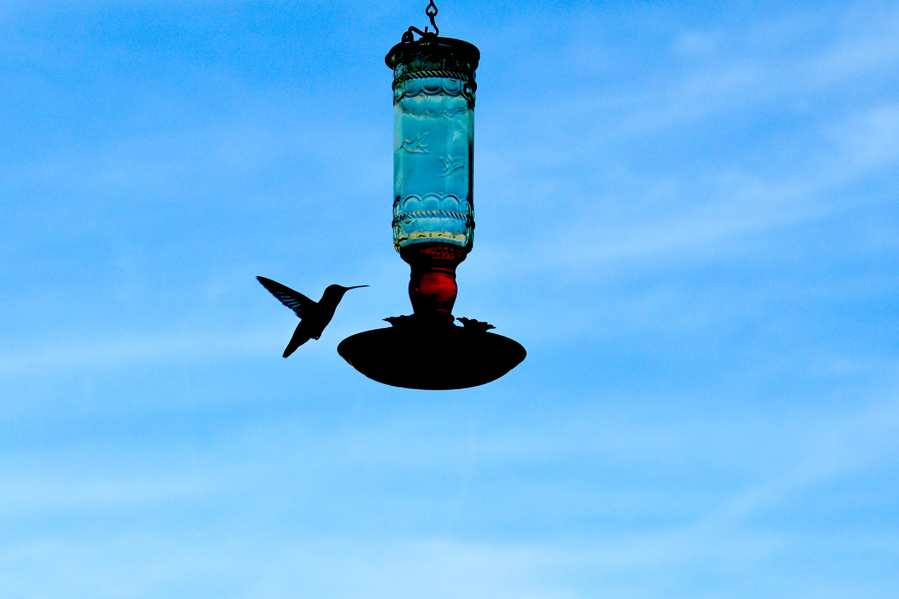 2015-10-30, 025, My Humming Bird Feeder