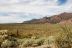 2017-02-10, 005, Trail off Peralta Road, AZ