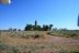 2019-07-10, 09, Looking E from Drive Way