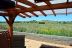 2022-09-04, 021, View Looking WS from the Pergola