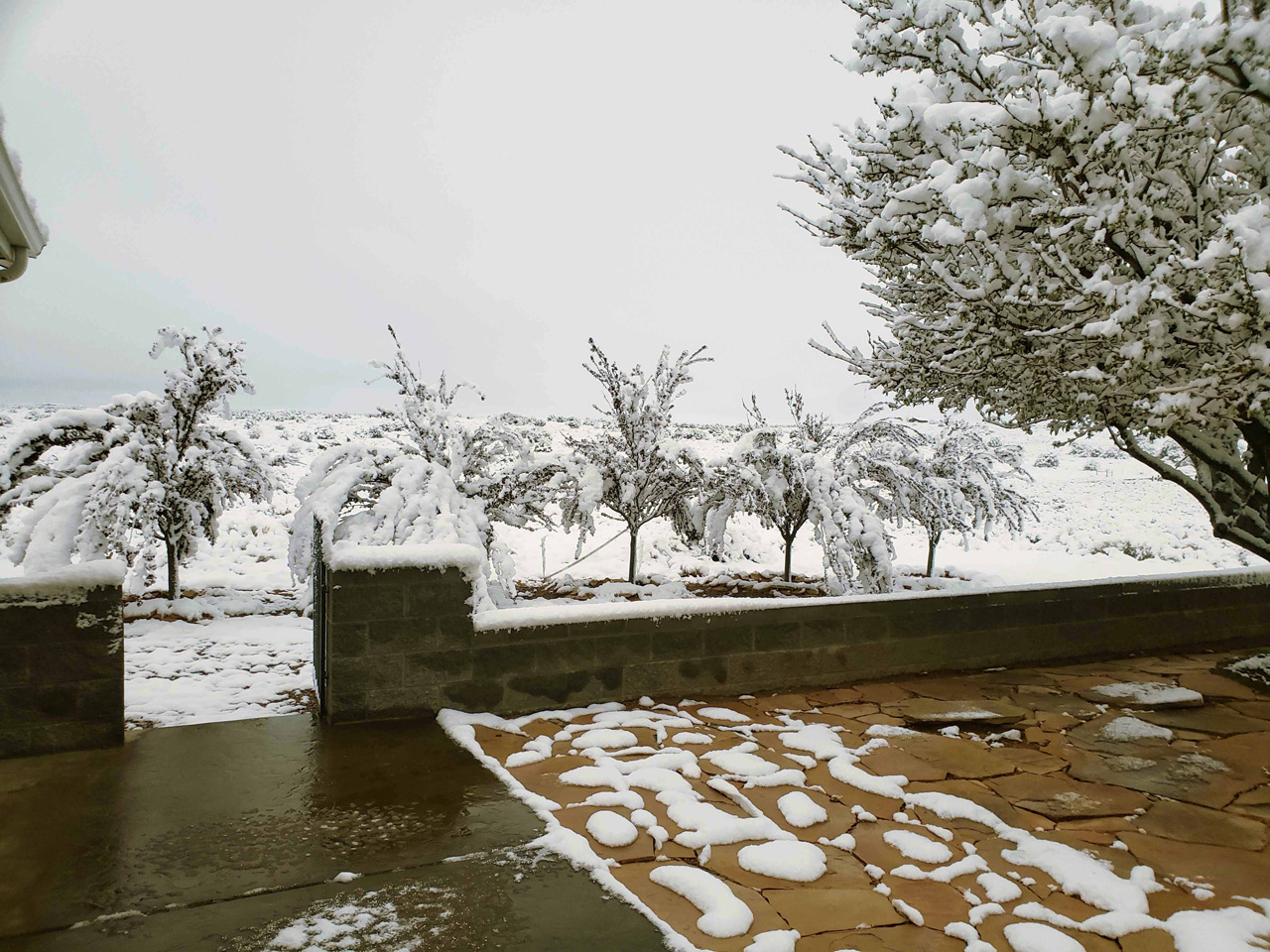 2025-04-19, 02, Snow