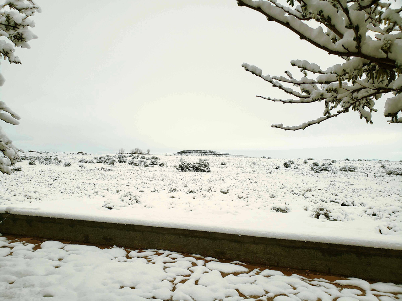 2025-04-19, 08, Snow