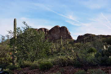 2016-03-03, 003, Trail along Dinosaur Mtn, AZ