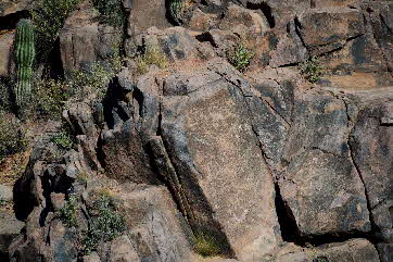 2016-03-24, 042, Hieroglyphic Trail, Tonto NF, AZ