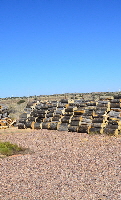 2023-09-09, 06, Firewood Cut & Stacked