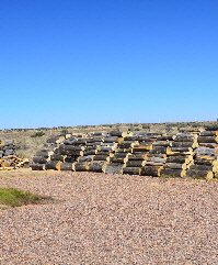 2023-09-09, 06, Firewood Cut & Stacked