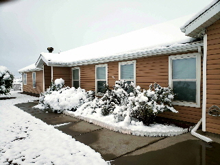 2025-04-19, 15, Snow