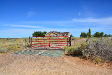 Cattle Grate with Gate